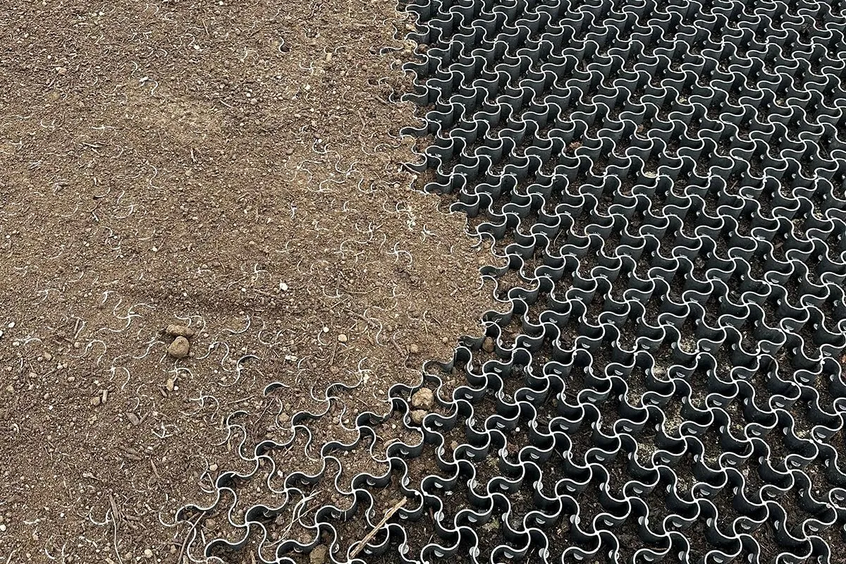 Pavele ecologice sau beton pentru curte? Care alegere e mai bună?